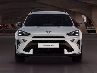 CUPRA Formentor 2.0 tdi 150cv dsg