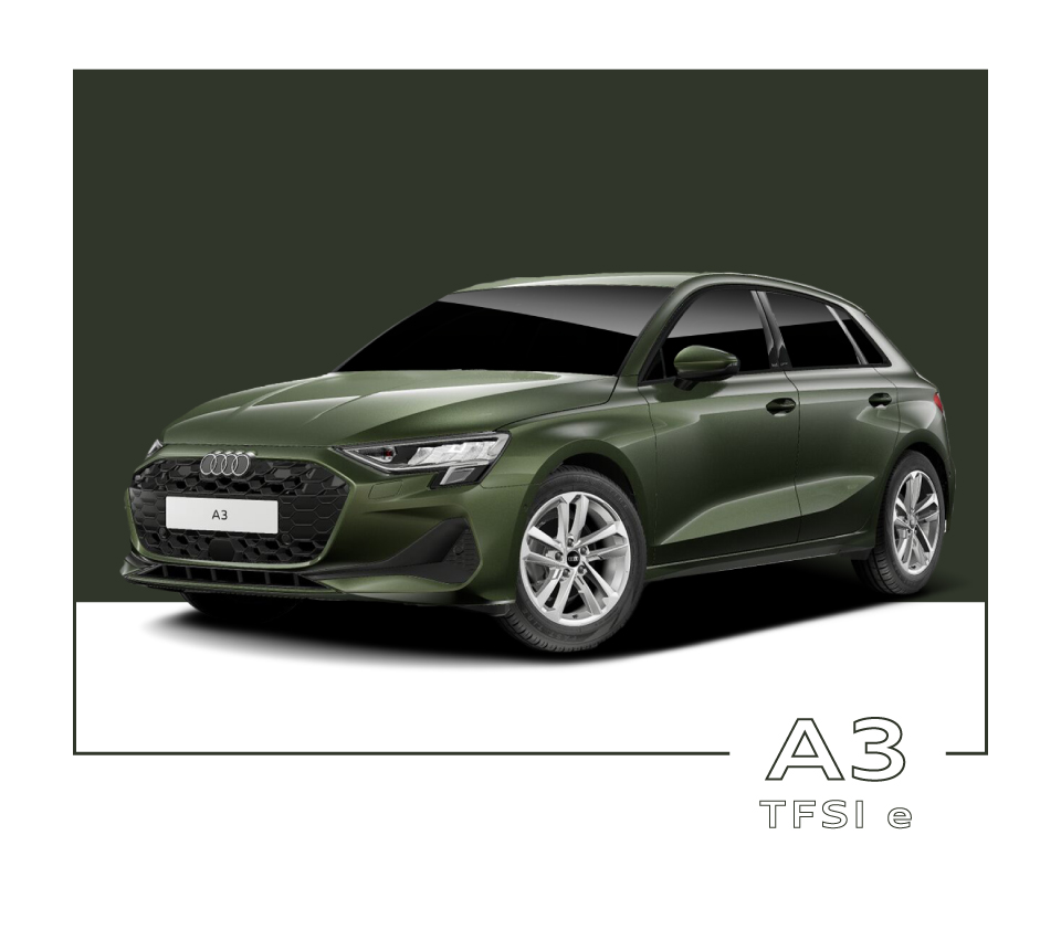 Umbraco.Web.PublishedModels.Image?.Name